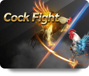 Các loại game bài đổi thưởng phổ biến và cách chơi